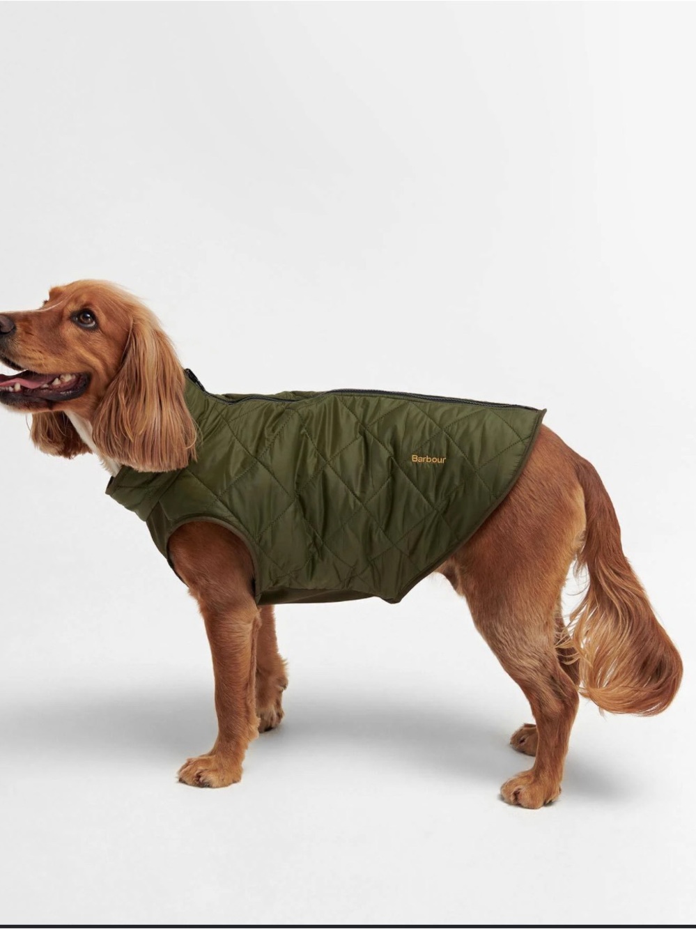 Barbour Olive Quilted Dog Jacket with Subtle Gold Logo